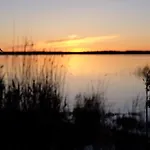 Gospodarstwo wiejskie Hiie Talu *