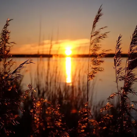 Hiie Talu Gospodarstwo wiejskie