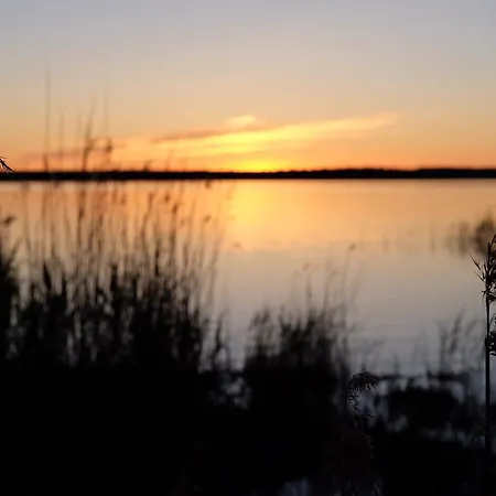 Gospodarstwo wiejskie Hiie Talu *