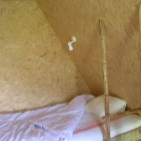 Hiie Talu Landsted *