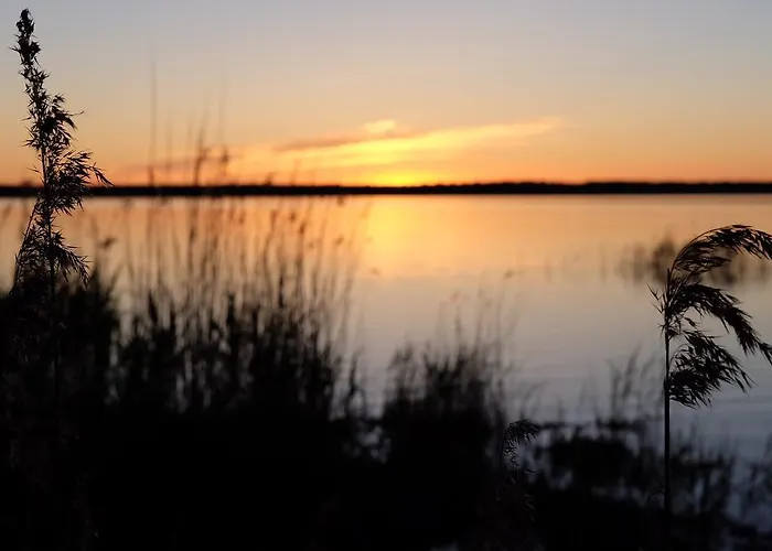 Gospodarstwo wiejskie Hiie Talu *